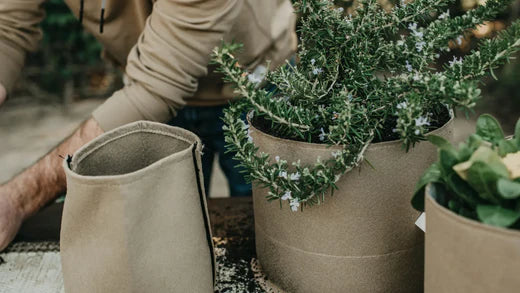 Washing Fabric Pots