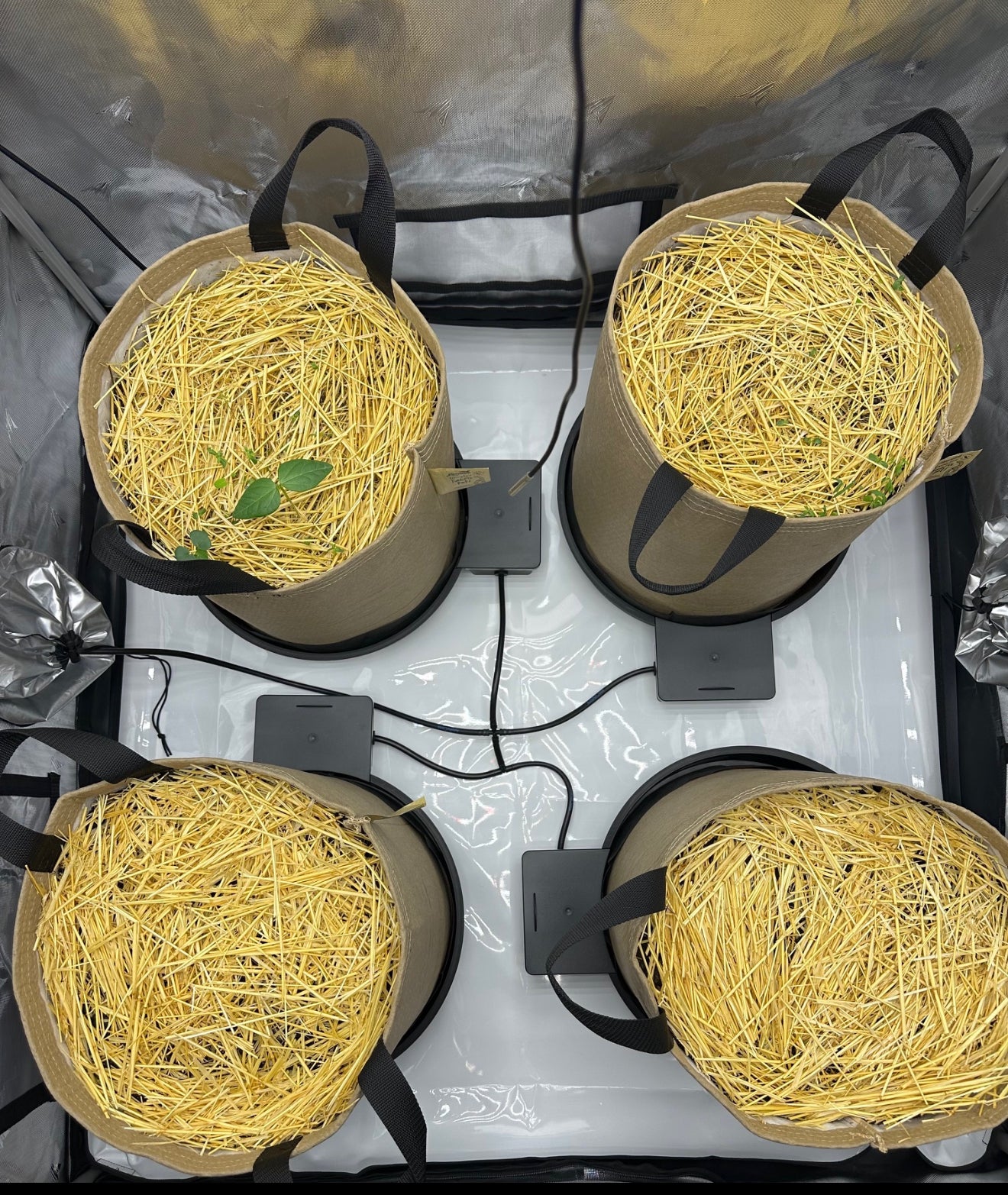 AutoPot XL & XXL with Handles