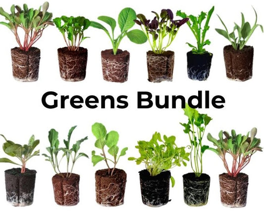 Greens Bundle