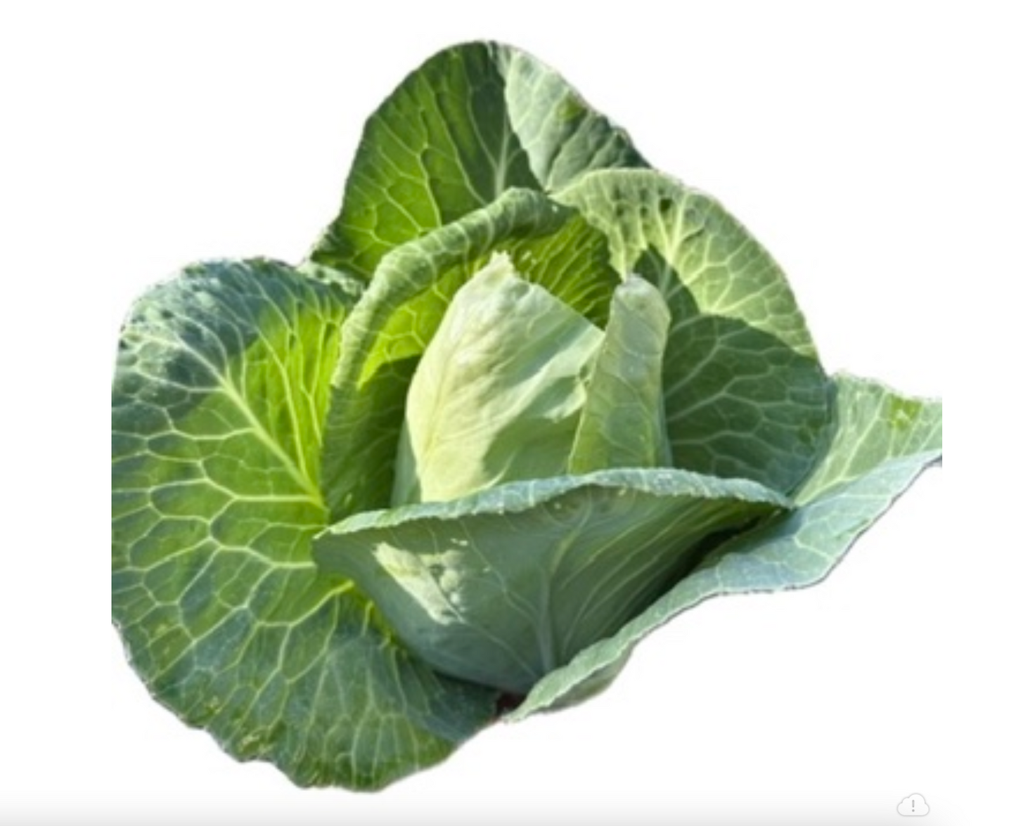 Grassroots Bundle - Veggie Mix