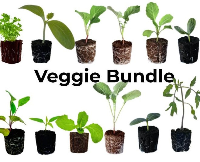 Grassroots Bundle - Veggie Mix