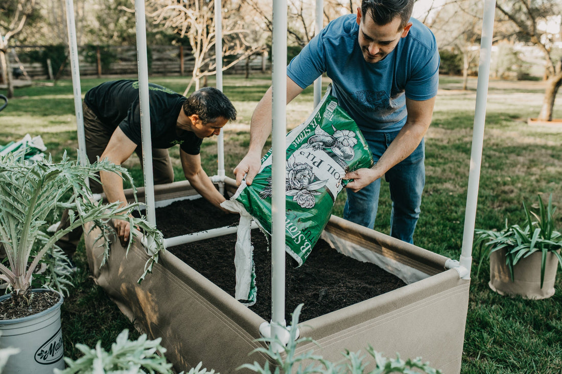 Choosing Your Soil