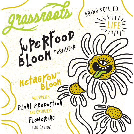 SuperFood Bloom