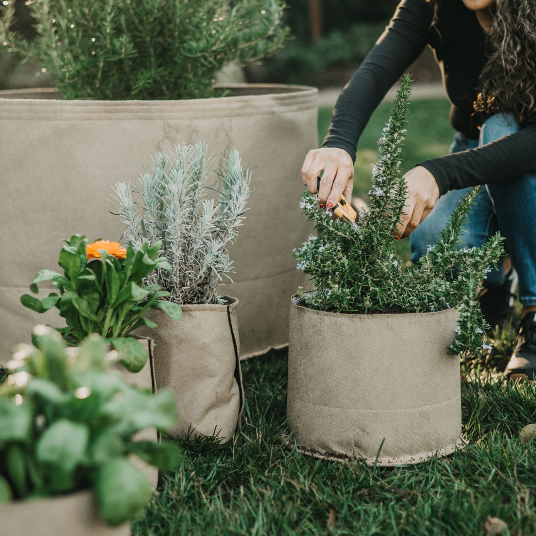 material plant pots Grassroots Living Soil Fabric Pot 30 Gallon