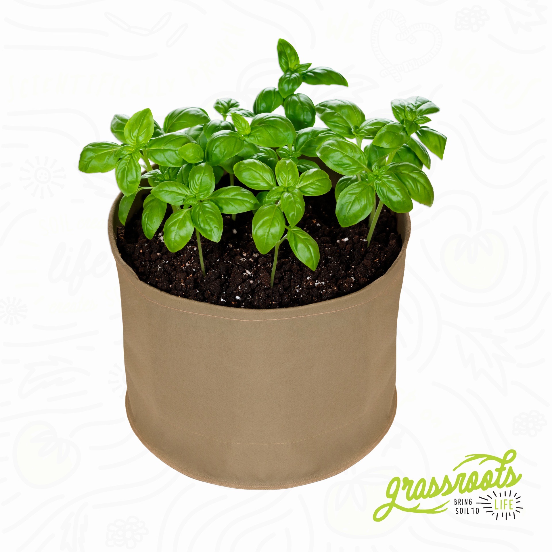 Living Soil Fabric Pot  Grassroots Fabric Pots